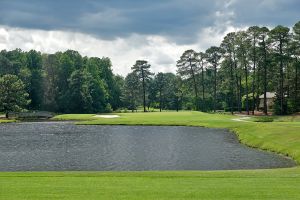 CC Of NC (Dogwood) 16th